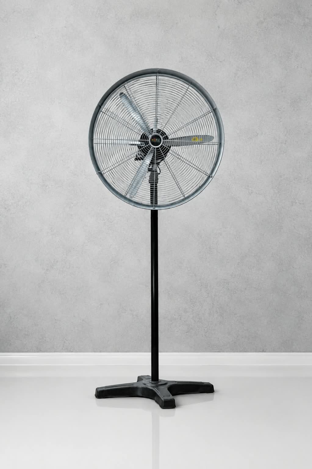 Pedestal Fan